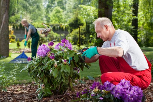 Lawn mowing team maintaining a communal green space in Cranford