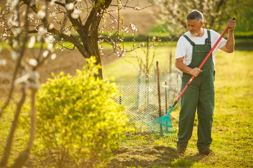 Garden clearance crew assessing a site for hazards