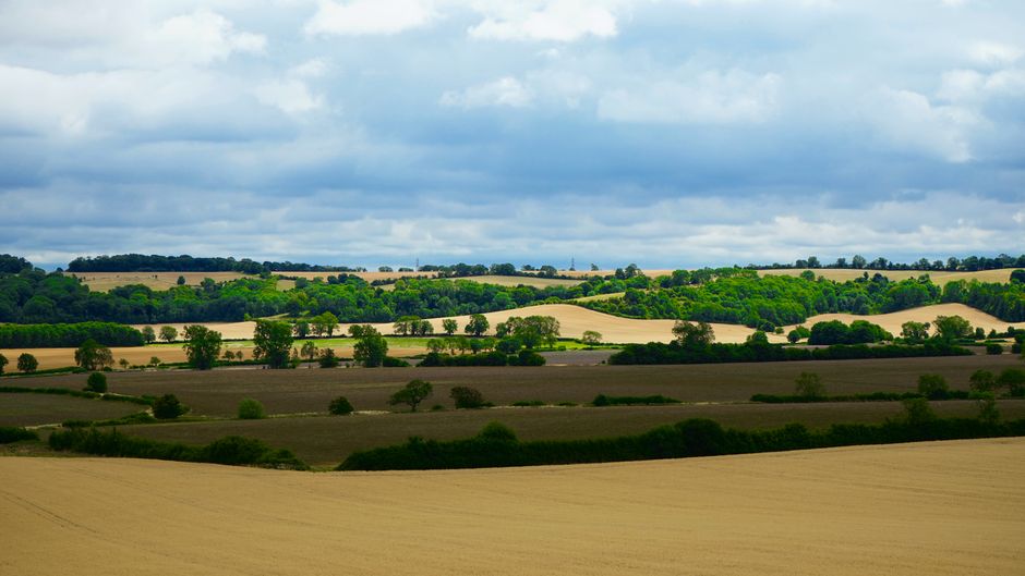 An aerial view of a rural landscape featuring large, well-maintained green fields with visible mowing lines, bordered by neat hedgerows and mature trees. In the background, a small residential area wi